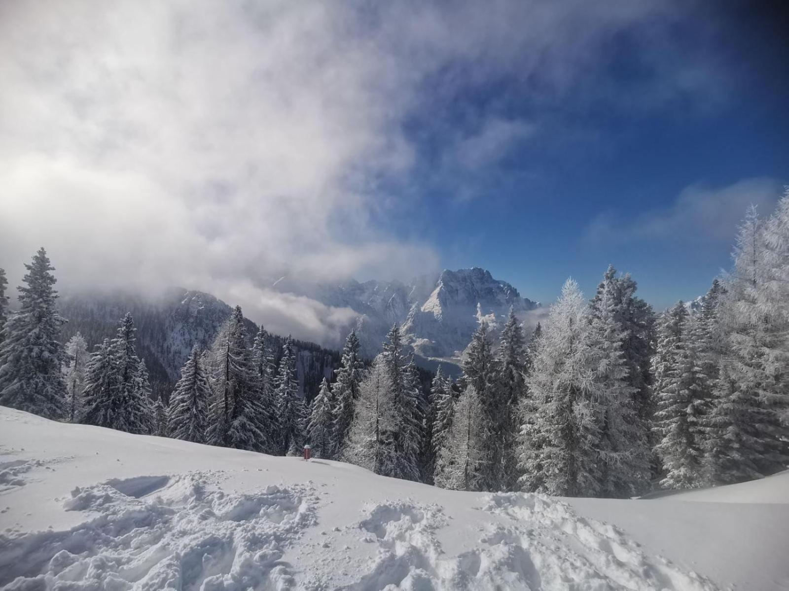 Al Casello Tarvisio Buitenkant foto